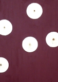 Auge 7 (2008)
