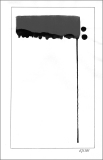Auge 38 (2011)