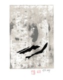 Faltenwurf 38 (2019)