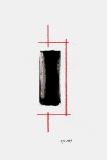 Paar 61 (2009)