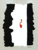 Schatten 29 (2001)