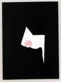 Schatten 38 (2002)