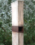 Fraternitas Dei III (2006)