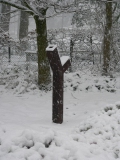 Fraternitas Dei II (2005)