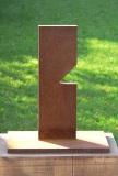 Schmerz (2005)